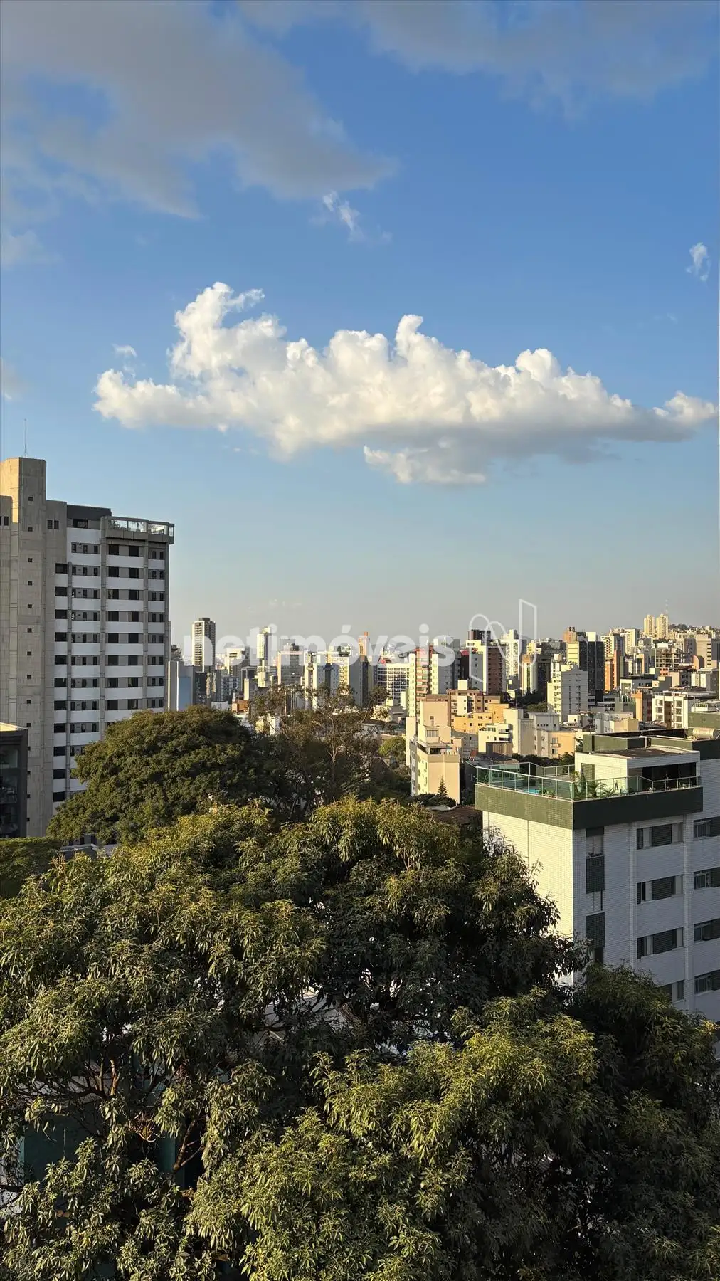 Vista