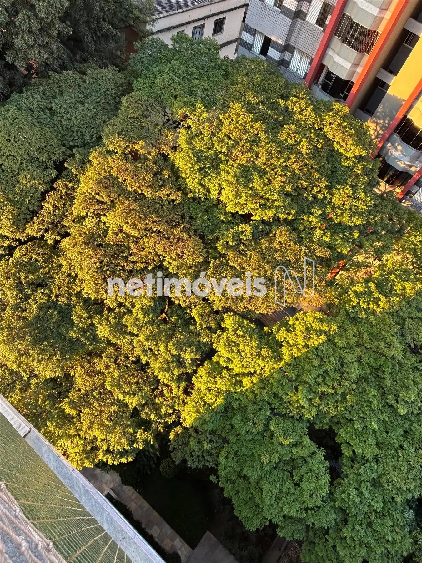 Vista arborizada