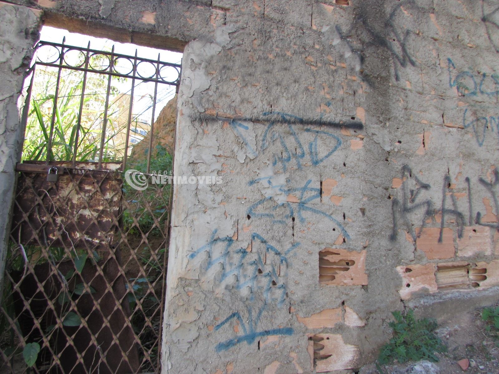 Lote murado com portão