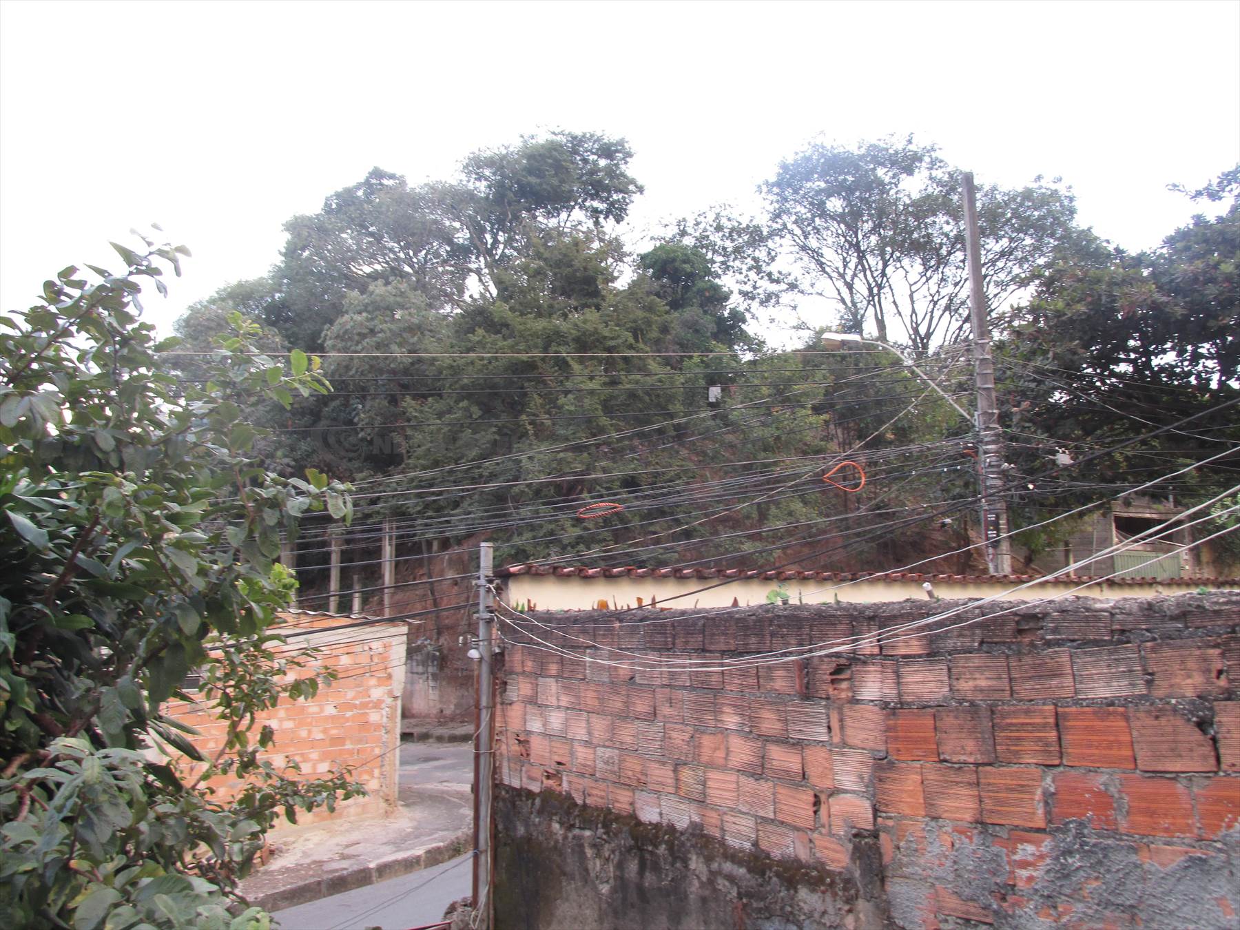 Vista do lote