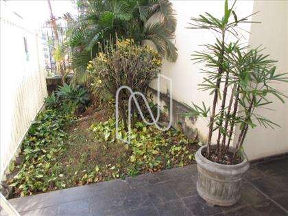 Jardim
