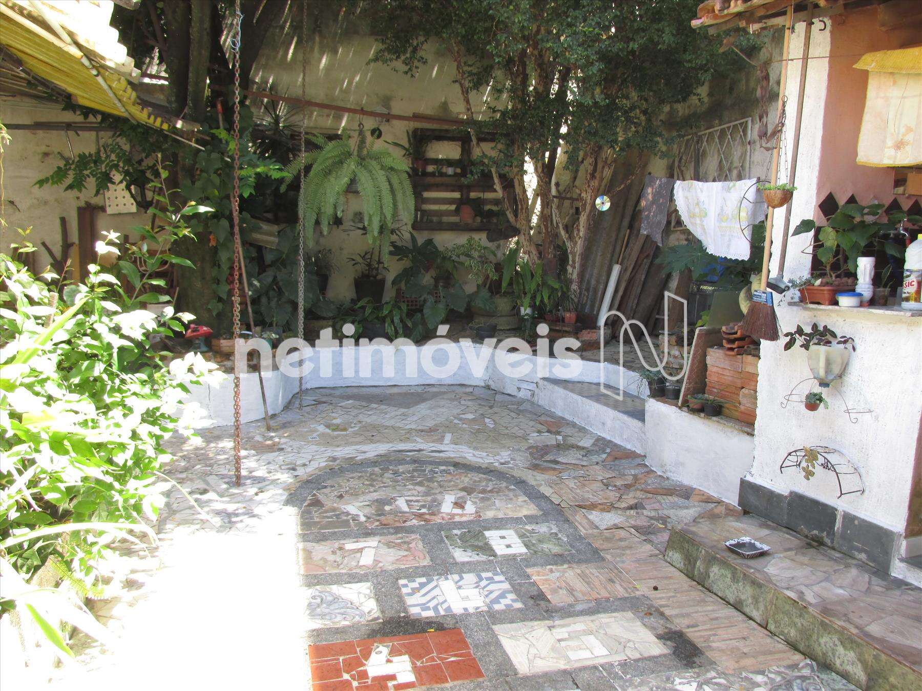 Quintal com arvores frutíferas 