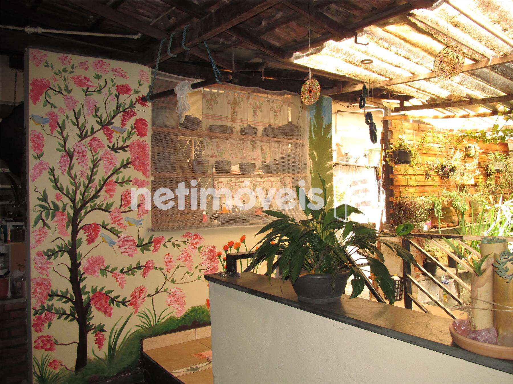 Área externa da casa