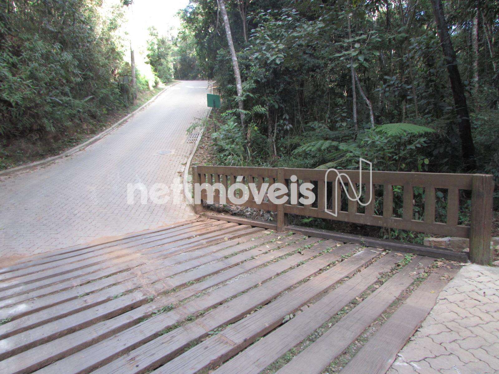 Ponte sobre o riacho