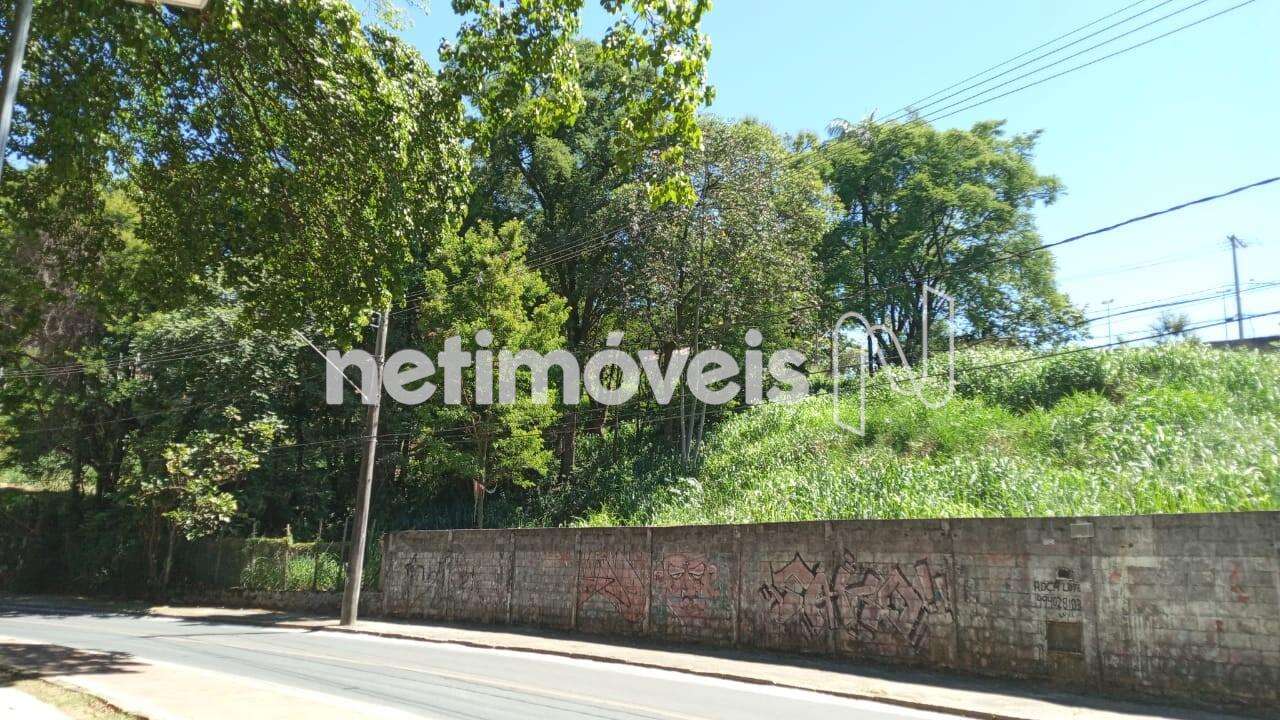 Área do lote