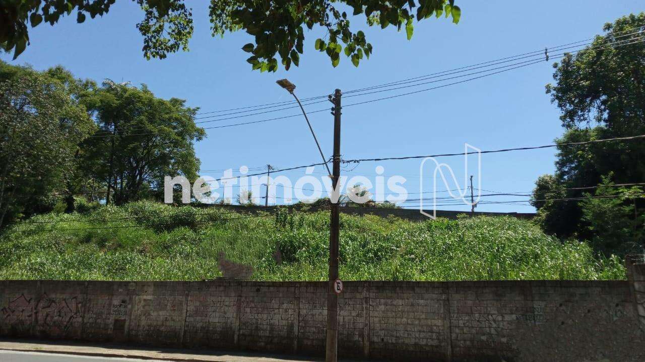 Área do lote
