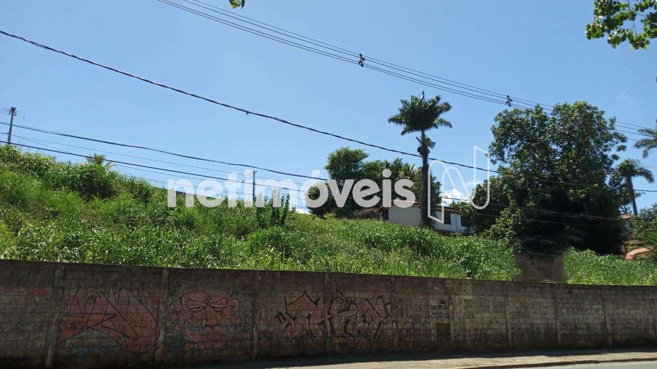 Área do lote