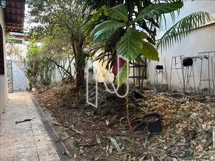 Jardim