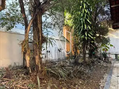 Jardim