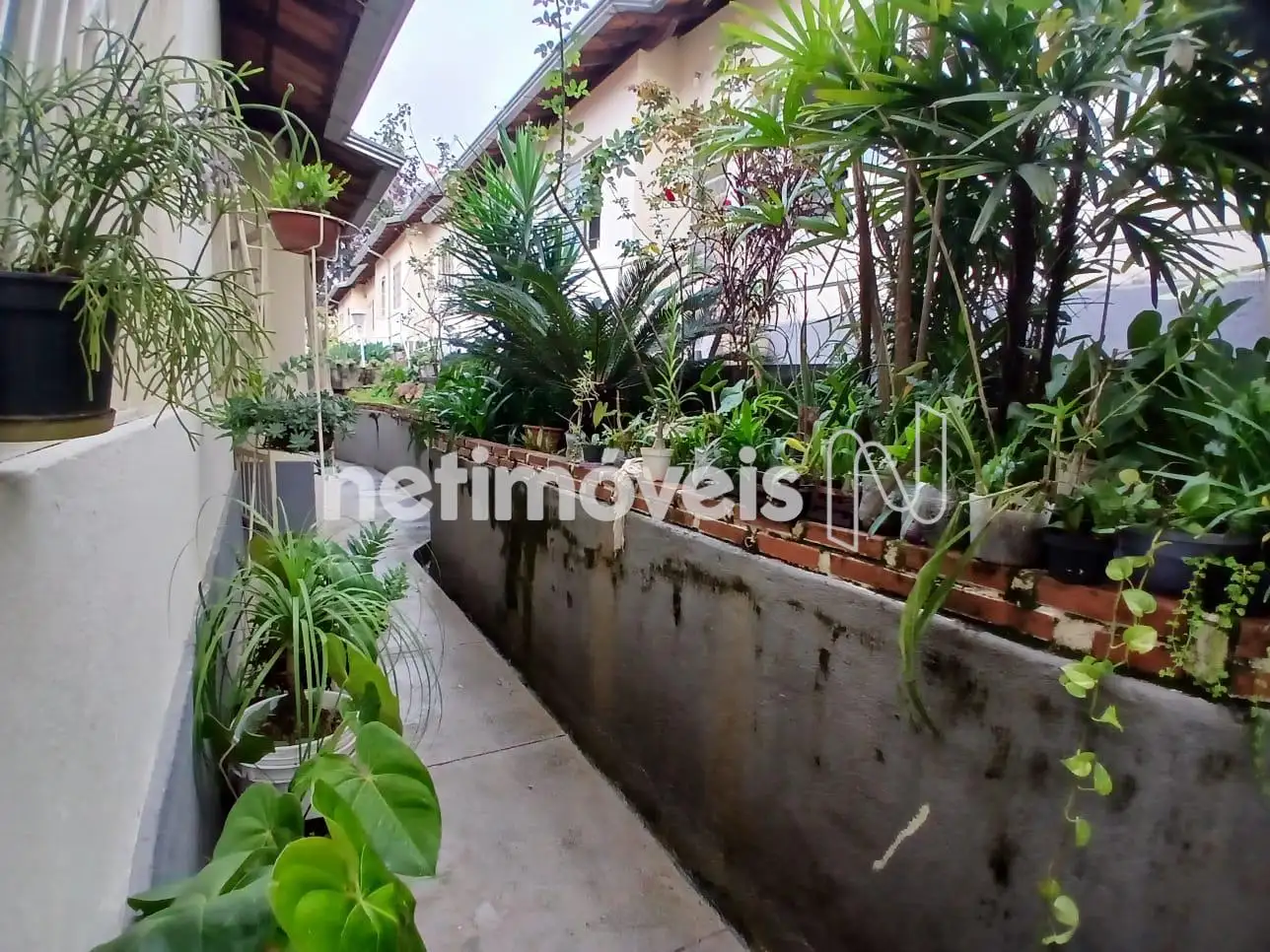 Casa para comprar com 57 m², 2 quartos, 2 banheiros em Rua Dona Luci, Palmeiras, Belo Horizonte