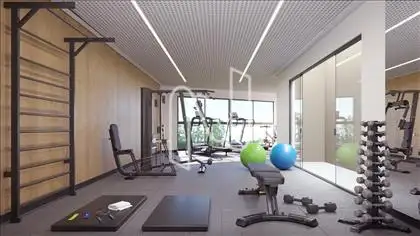 Academia
