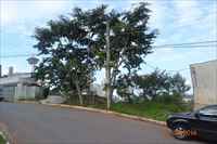 Frente do lote