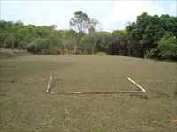 campo gramado