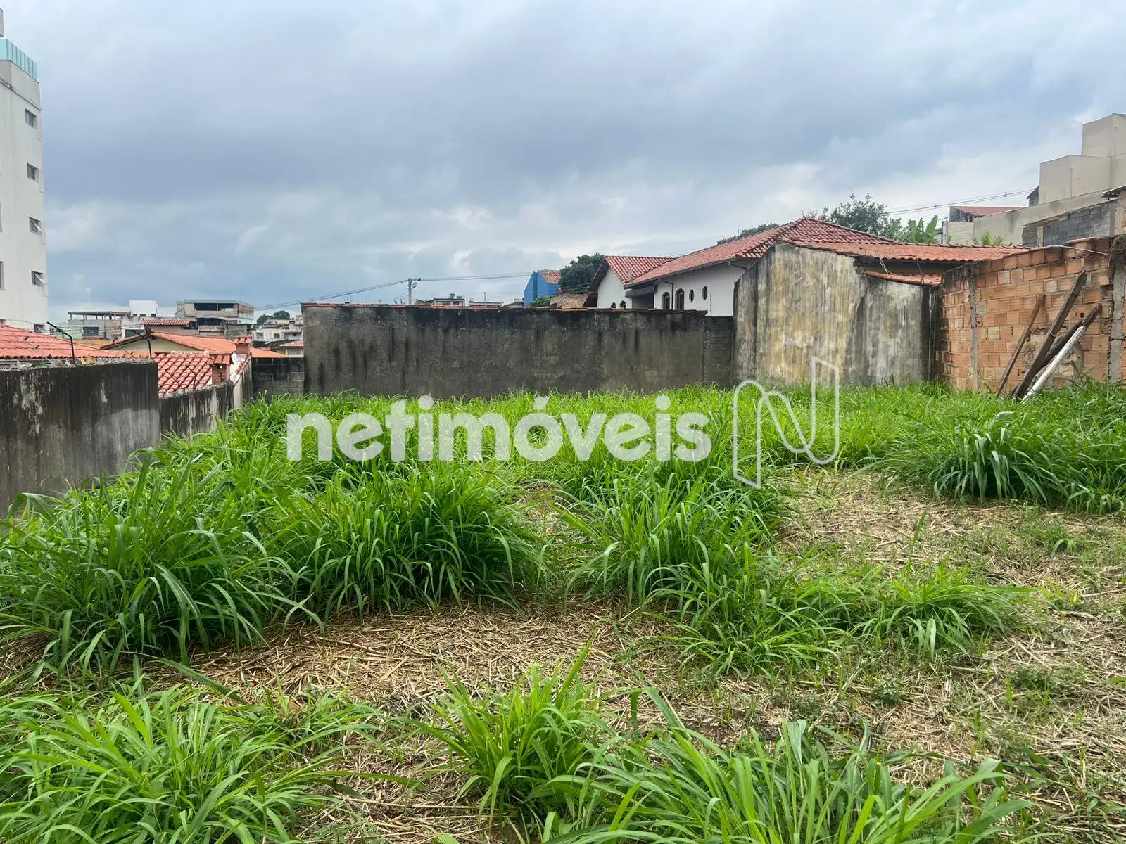 LOTE