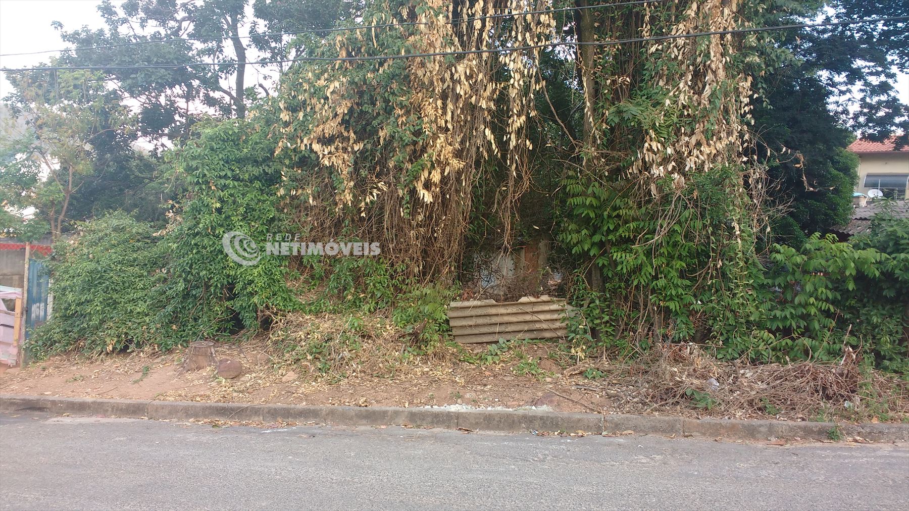  frente do lote