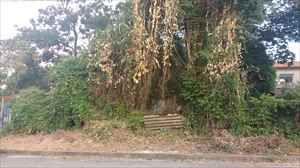 frente do lote