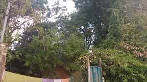  lateral do lote