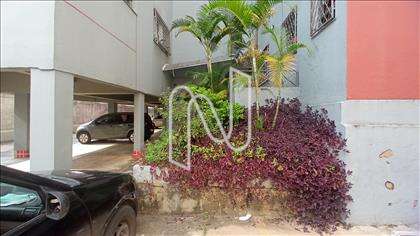  Jardim 