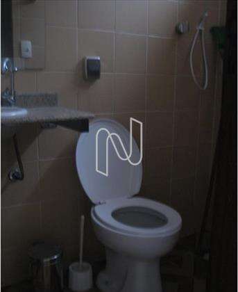  Banho Social 