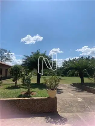Paisagismo predominante 