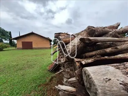 Lenha para lareira, fogão e vinho 