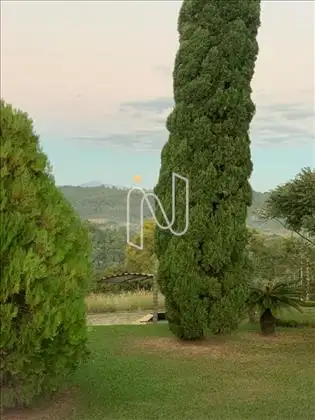  Verde Predominante