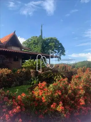 Jardim por todos os lados 