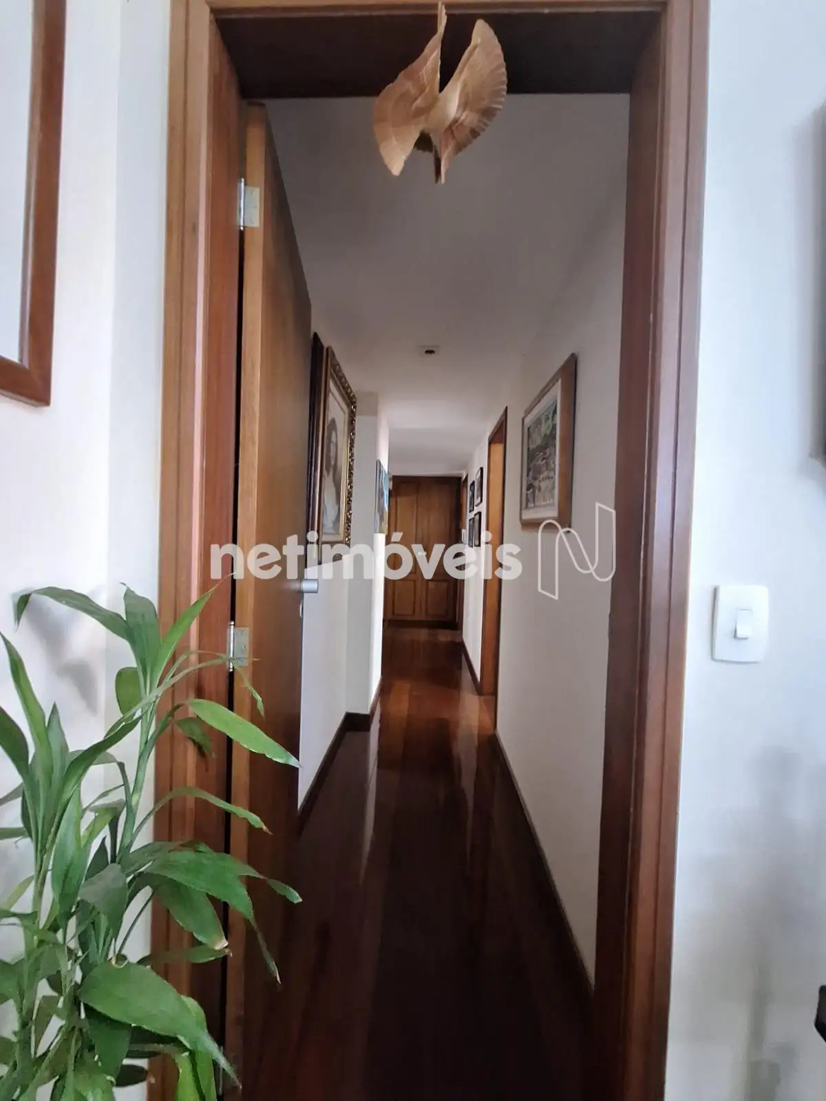 Hall parte íntima