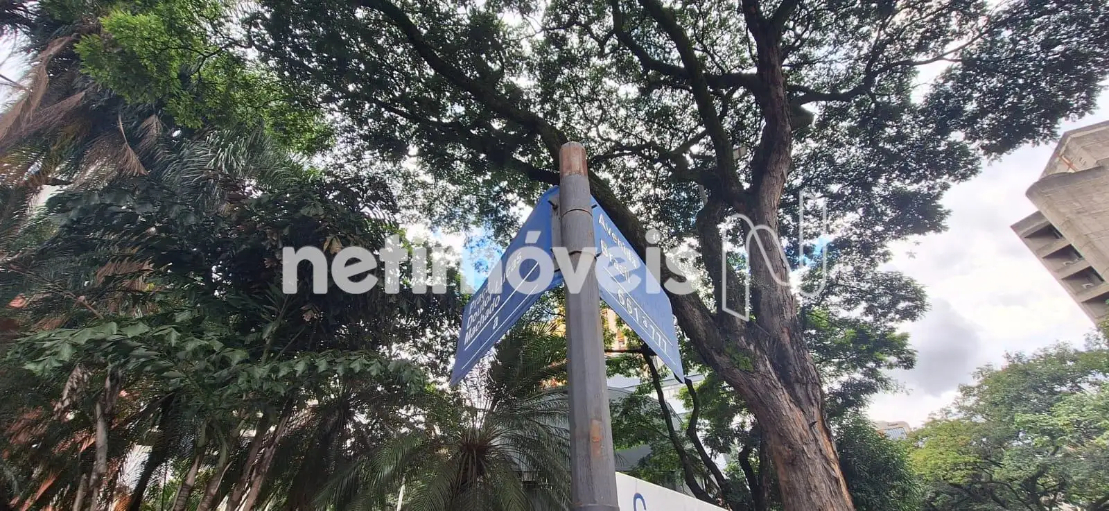 Av. Brasil com Francisco Salles