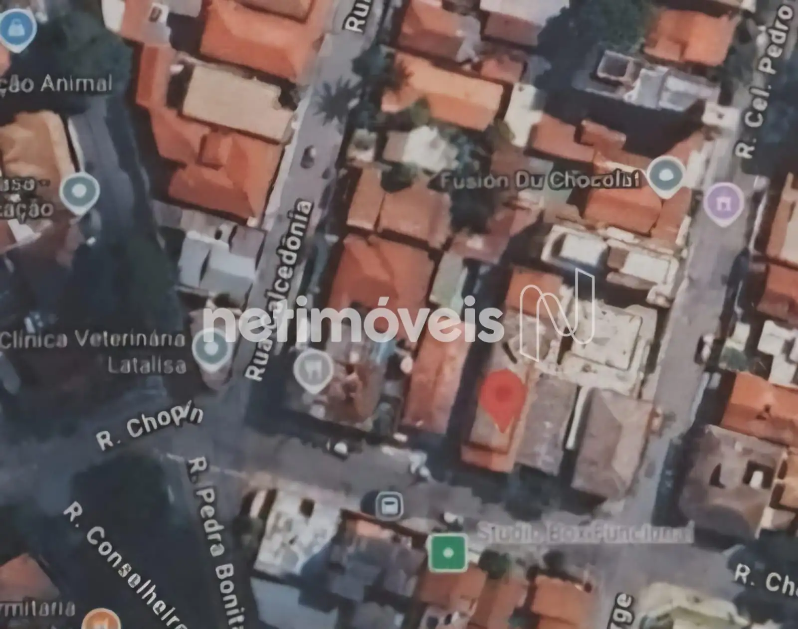 Vista Google Maps
