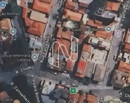 Vista Google Maps 
