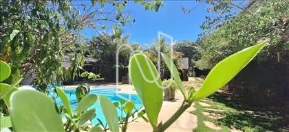 Muito verde 