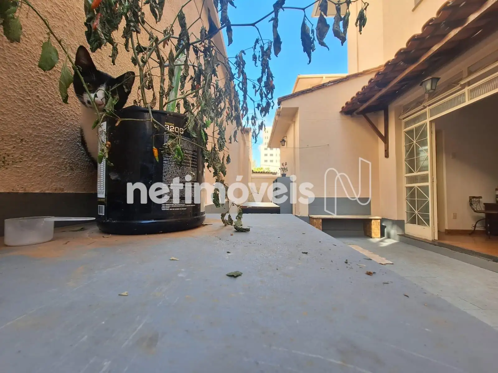 Detalhesao fundo próximo corredor nas fotos