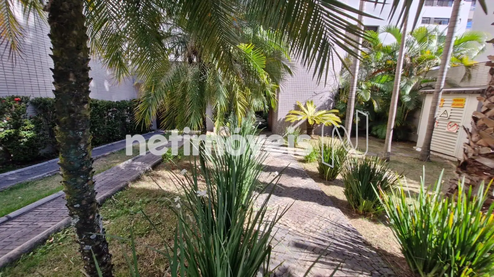 Jardim do prédio ângulo 2