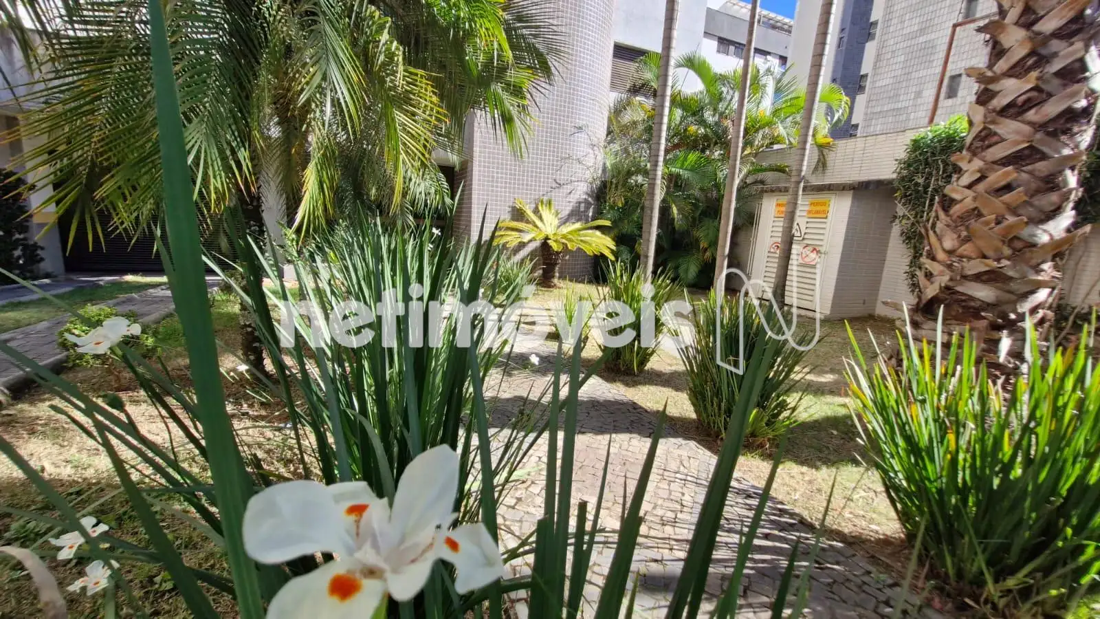 Jardim do prédio ângulo 1