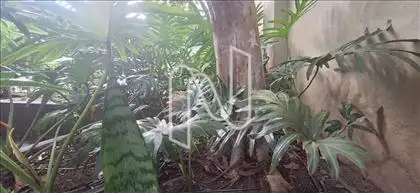 Interessante Jardim 