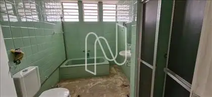Banho social 