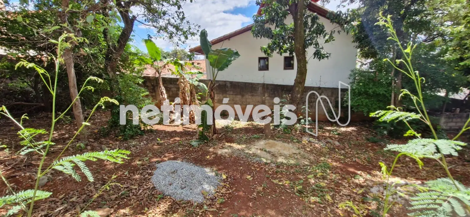 lote ao lado com diversas árvores frutíferas