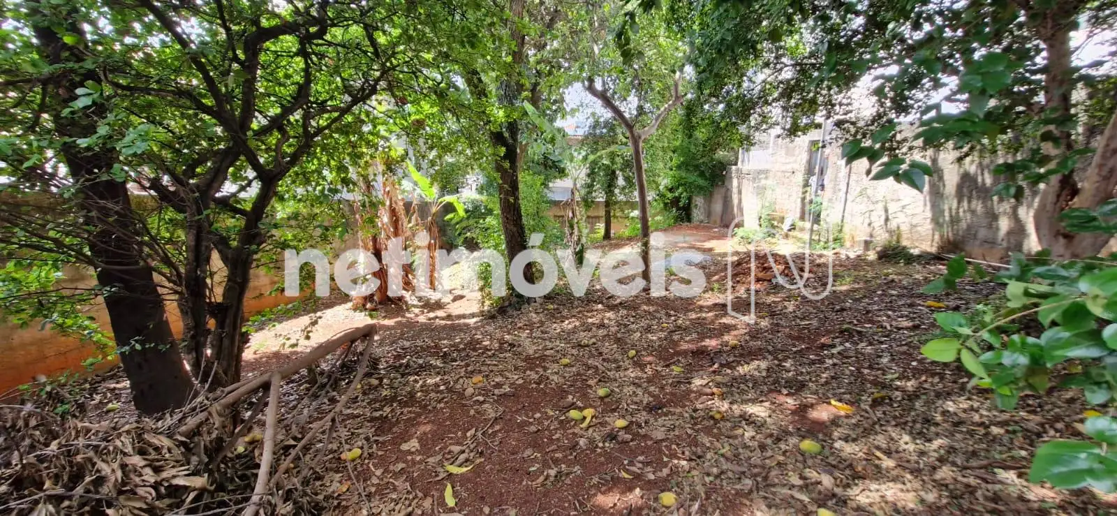 Lote pode ser vendido junto, consultar valor