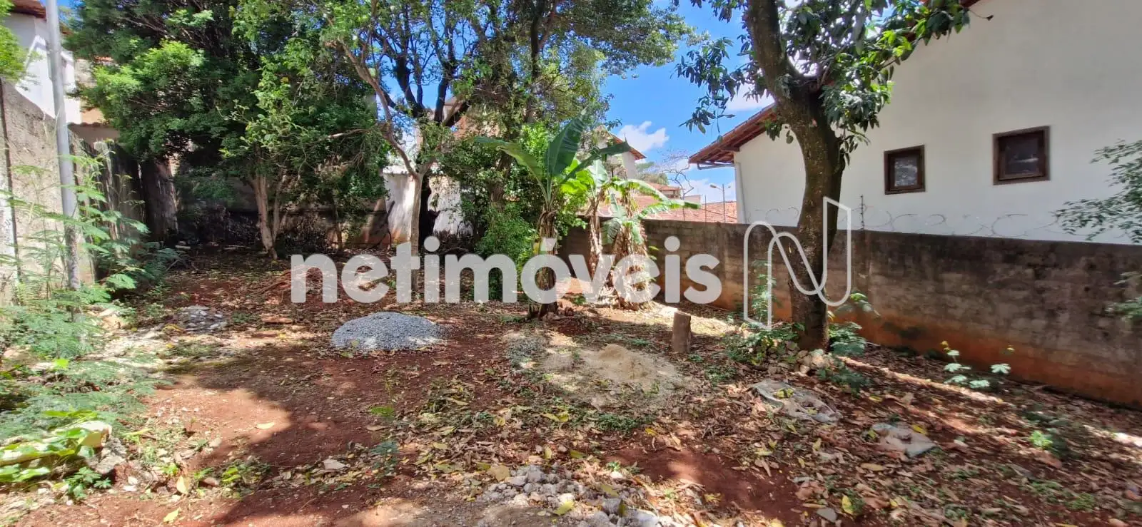 Lote pode ser vendido junto, consultar valor.