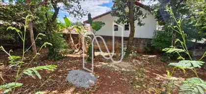 lote ao lado com diversas árvores frutíferas
