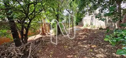 Lote pode ser vendido junto, consultar valor