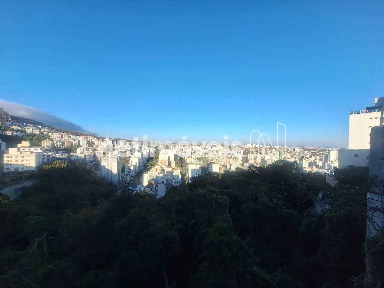 Vista 