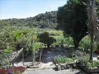 pomar