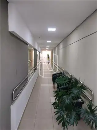 HALL SOCIAL  