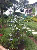 jardins do condomínio ângulo 2