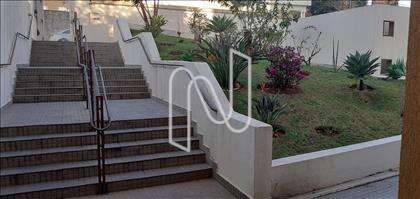 jardim