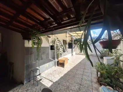 Pode ter várias plantas do seu agrado 