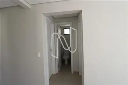 Circulação