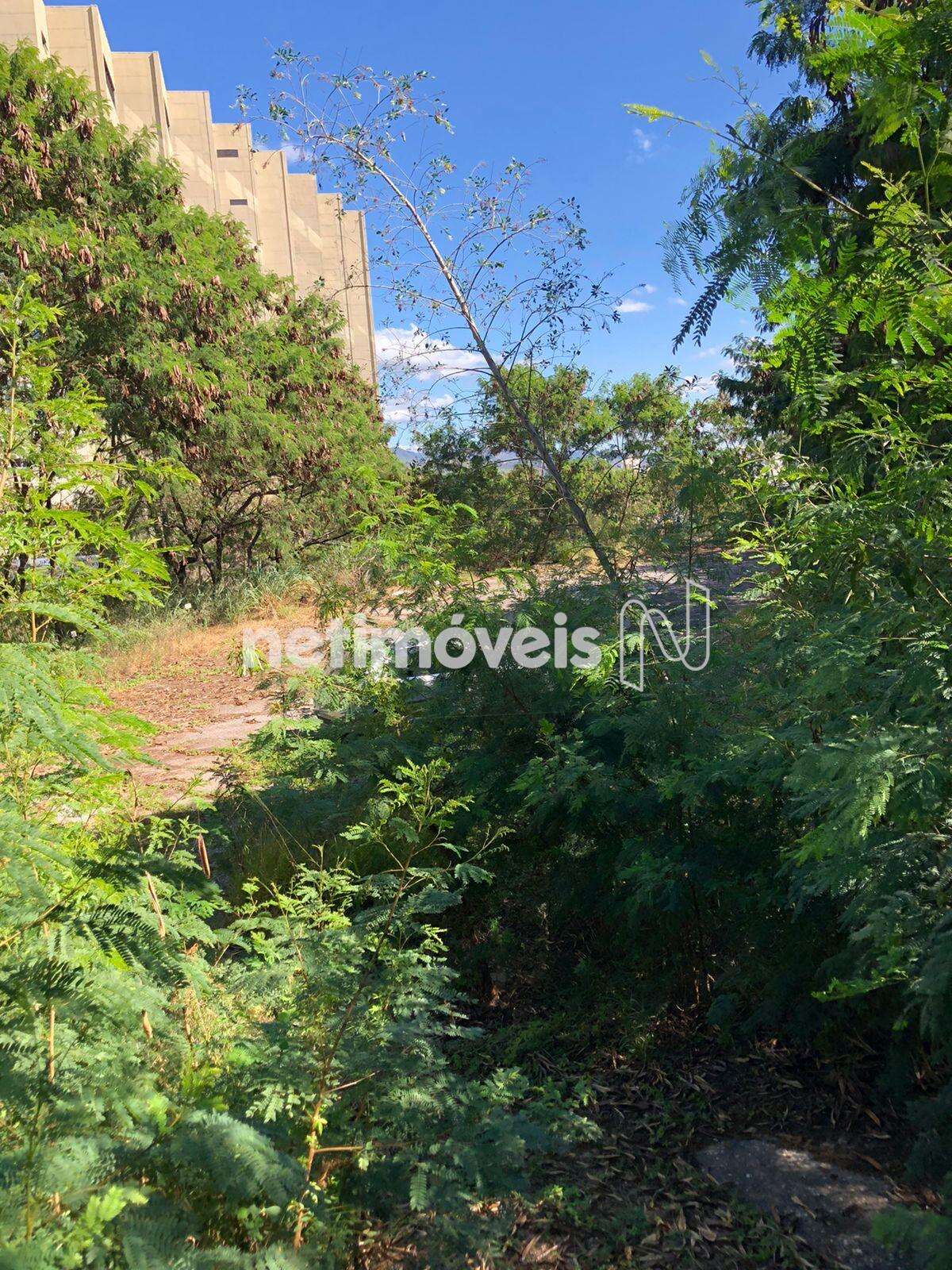 Visão do lote ângulo 6